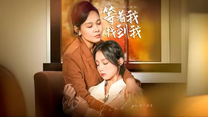 等著我，找到我(全集)