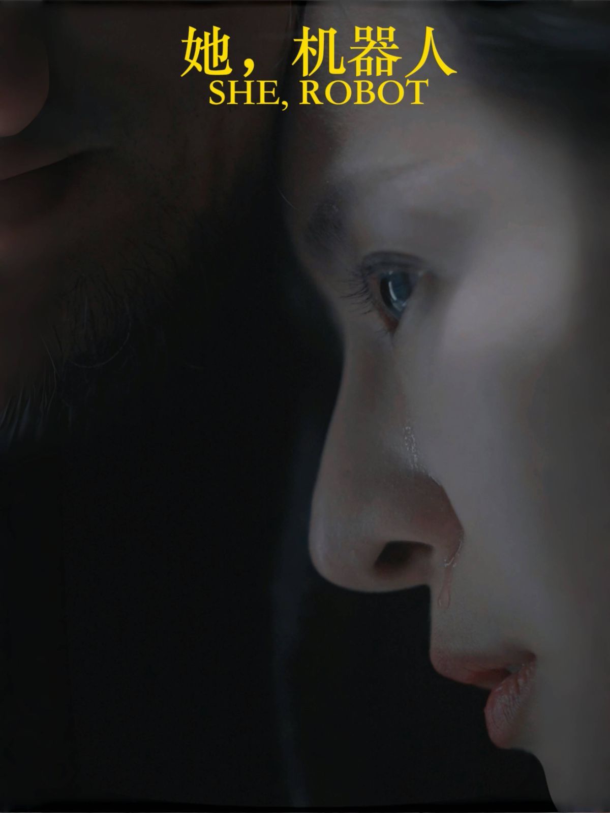 她，機器人（她機器人）(全集)