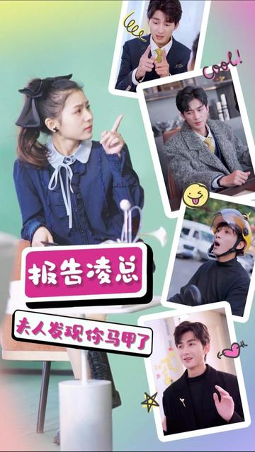 報(bào)告凌總，夫人發(fā)現(xiàn)你馬甲了(全集)