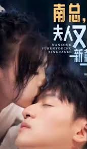 南總，夫人又出新款了(全集)