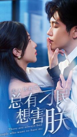 夫人快救駕，總有刁民想害朕(全集)