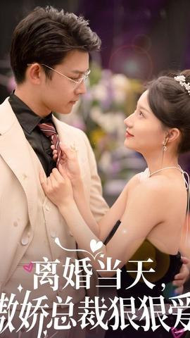 離婚當(dāng)天，傲嬌總裁狠狠愛(全集)