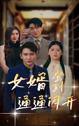 女婿駕到，通通閃開(全集)