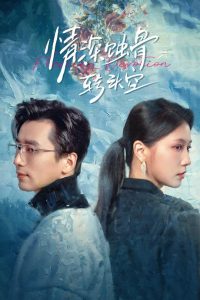 情深蝕骨轉(zhuǎn)頭空(全集)