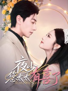 夜少，您太太有喜了(全集)