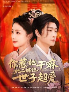 你惹她干嘛，她二嫁但世子超愛(全集)