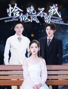 恰似晚風不留我＆棄他如風(全集)