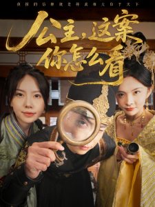 公主，這案你怎么看(全集)