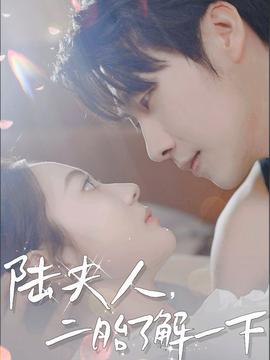 陸夫人，二胎了解一下(全集)