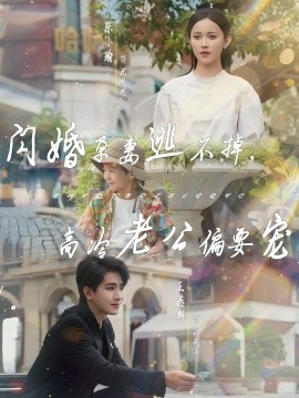 閃婚孕妻逃不掉，高冷老公偏要寵(全集)