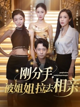 剛分手，被姐姐拉去相親(全集)