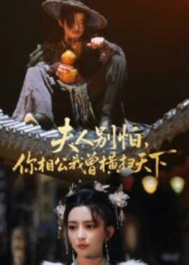 夫人別怕，你相公我曾橫掃天下(全集)