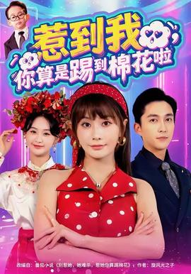 惹到我，你算是踢到棉花啦(全集)