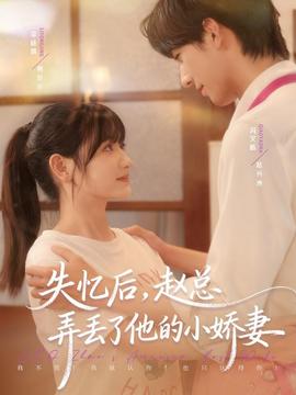 失憶后，趙總弄丟了他的小嬌妻(全集)