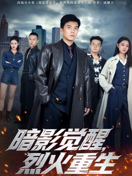 暗影覺(jué)醒，烈火重生(全集)