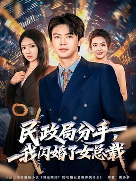 民政局分手，我閃婚了女總裁(全集)