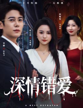 深情錯(cuò)愛(ài)(全集)