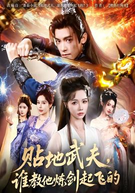 貼地武夫誰教他練劍起飛的(全集)