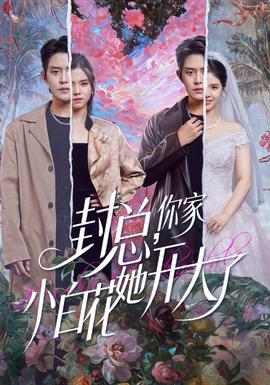 封總，你家小白花她開大了(全集)