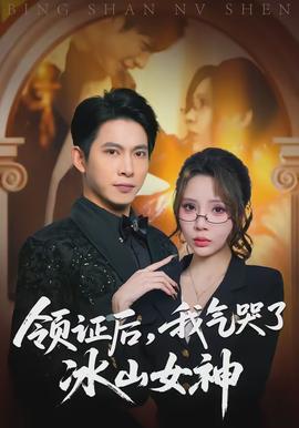 領(lǐng)證后，我氣哭了冰山女神(全集)