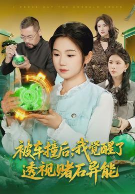 被車(chē)撞后，我覺(jué)醒了透視賭石異能了(全集)