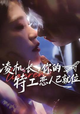凌機(jī)長(zhǎng)，你的特工戀人已就位(全集)