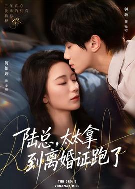 陸總，太太拿到離婚證跑了(全集)