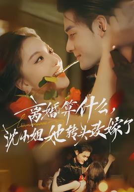 離婚算什么，沈小姐她轉(zhuǎn)頭改嫁了(全集)