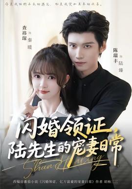 閃婚領(lǐng)證，陸先生的寵妻日常(全集)