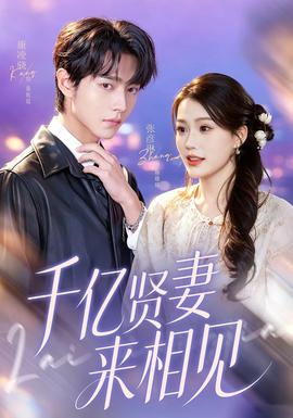 千億賢妻來(lái)相見(全集)