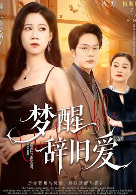 夢(mèng)醒辭舊愛(ài)(全集)