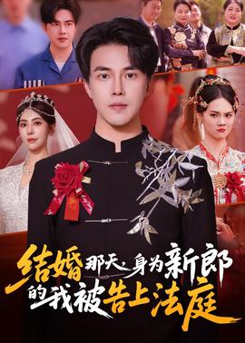 結婚那天，身為新郎的我被告上法庭(全集)