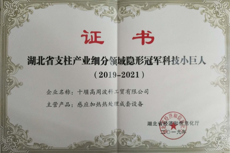 9-2019年感應加熱熱處理成套設備獲得湖北省支柱產(chǎn)業(yè)細分領(lǐng)域隱形冠軍科技小巨人.jpg